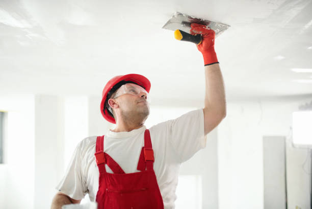 Best Ceiling Drywall Installation  in Margate City, NJ